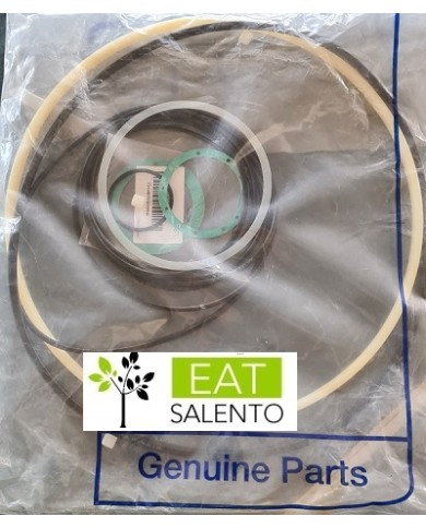 GUARNIZIONI  SEPARATORE   5 0 7 KIT COMPLETO