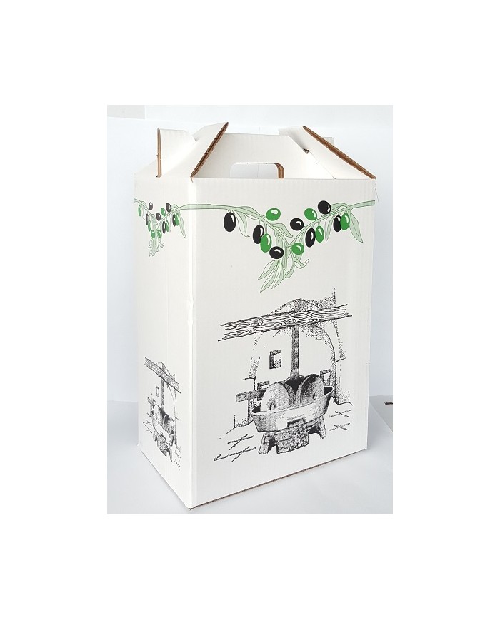 VALIGETTA REGALO PER 2 LATTINE DA 5 LT PEZZI 10