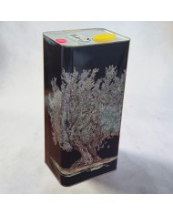 CONTENITORE PER OLIO DOLIVA 5 LT PEZZI 72