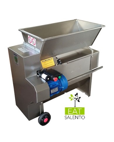 DIRASPATRICE INOX CON POMPA