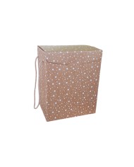 SCATOLA PER BOTTIGLIE E PANETTONI CON CORDINO PZ30