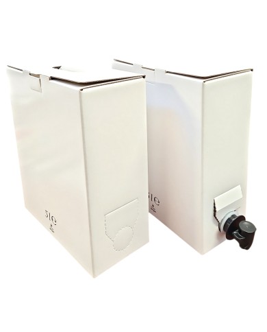 BAG BOX BIANCO DA LITRI 5 PEZZI 60