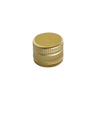 TAPPO ANTIRABBOCCO METALLICO PER BOTT A VITE PZ900