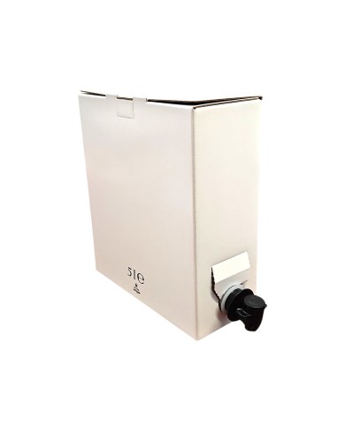 BAG BOX BIANCO DA LITRI 5 PEZZI 60