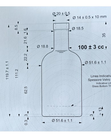 BOTTIGLIA 100 ML PER LIQUORI PARTICOLARI PZ 54